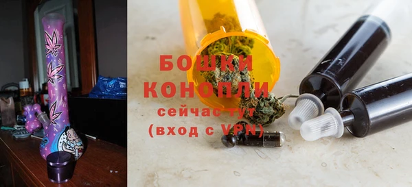 сатива Новодвинск