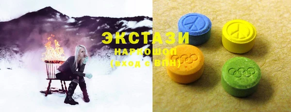 соль ск Новозыбков