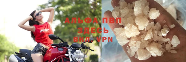 гашик Нефтегорск