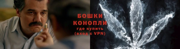сатива Новодвинск