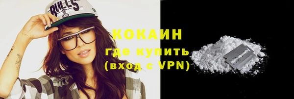 соль ск Новозыбков