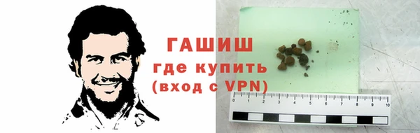 сатива Новодвинск