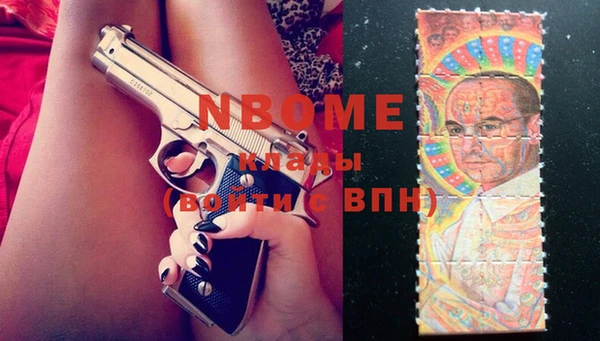 сатива Новодвинск