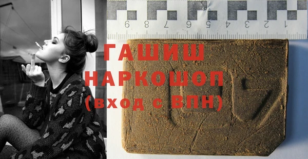 соль ск Новозыбков