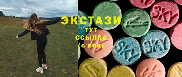 сатива Новодвинск