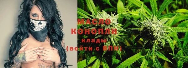сатива Новодвинск