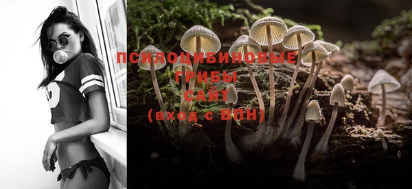 MESCALINE Новокубанск