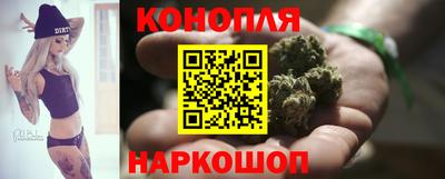 a pvp Кингисепп