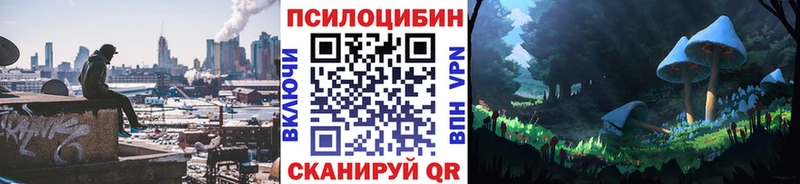 где найти   Приморско-Ахтарск  Псилоцибиновые грибы Psilocybe 