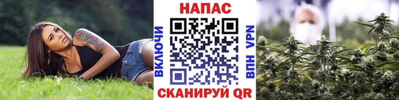 Бошки марихуана AK-47  Приморско-Ахтарск 